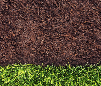 testing soil acidity